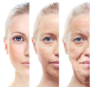 女性の老化